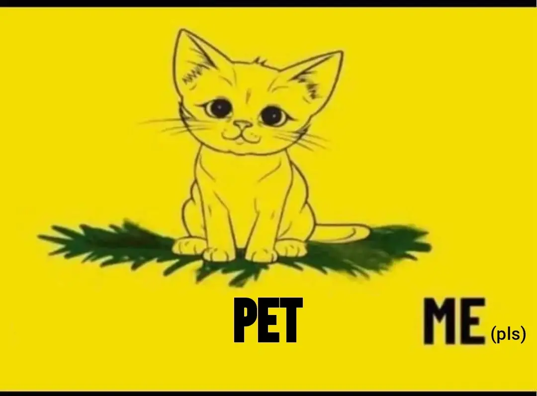 the "don't tread on me" flag but the snake is replaced by a kitty and the text was edited to "don't snack on me" and then edited to "pet me (pls)"